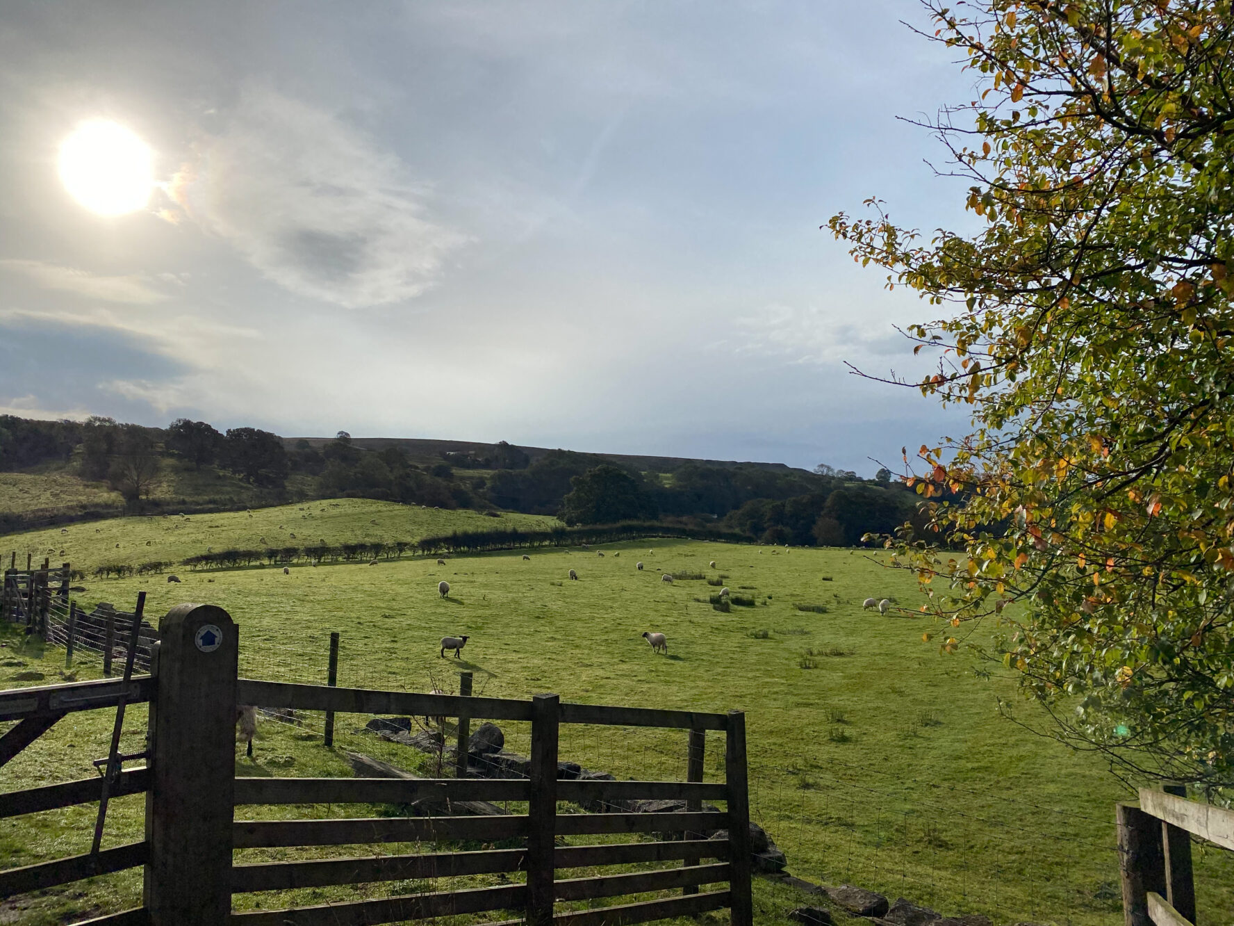north york moors walks