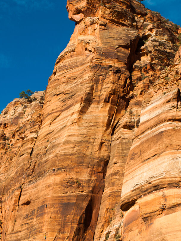 Zion Rock Climbing