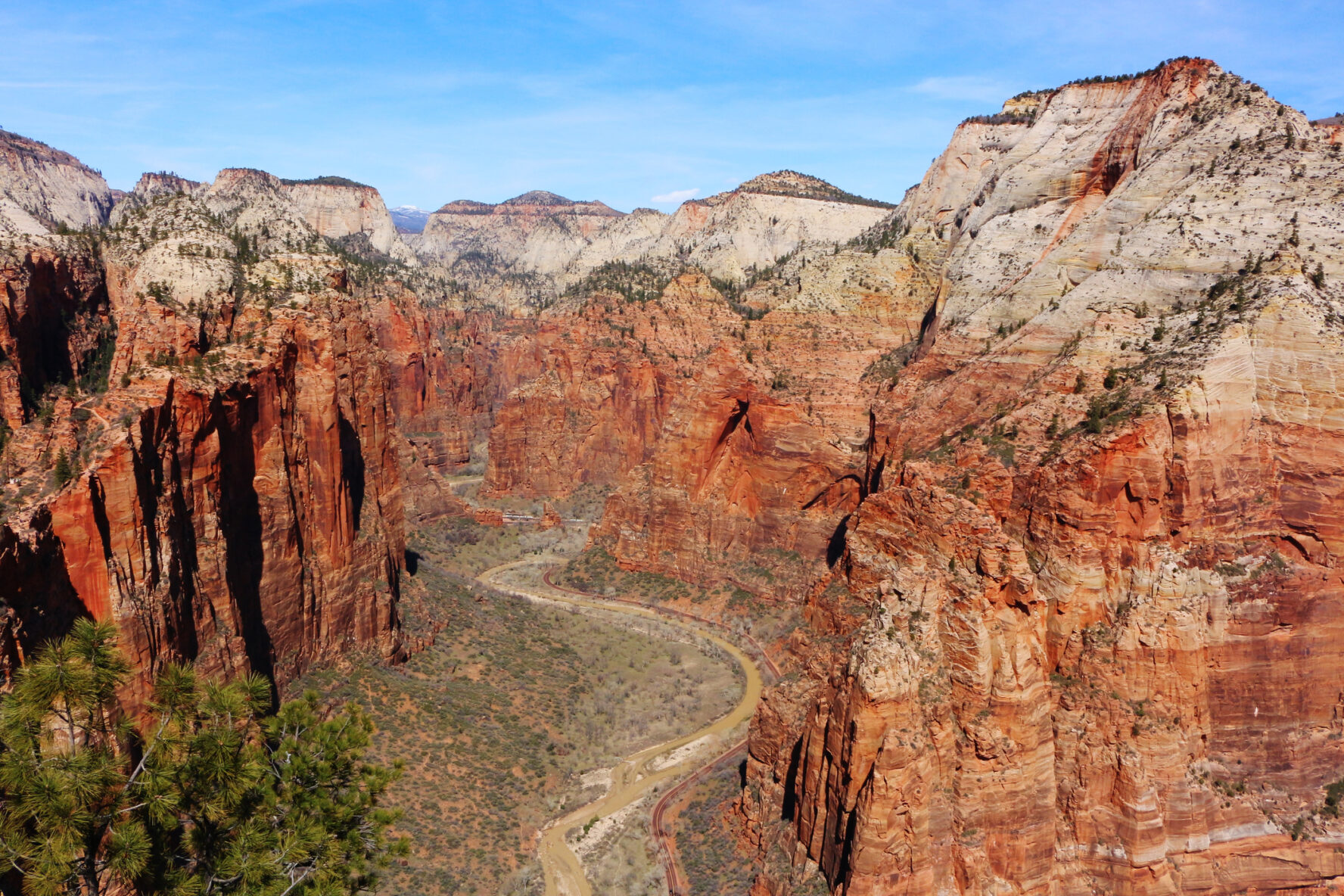 Zion Rock Climbing