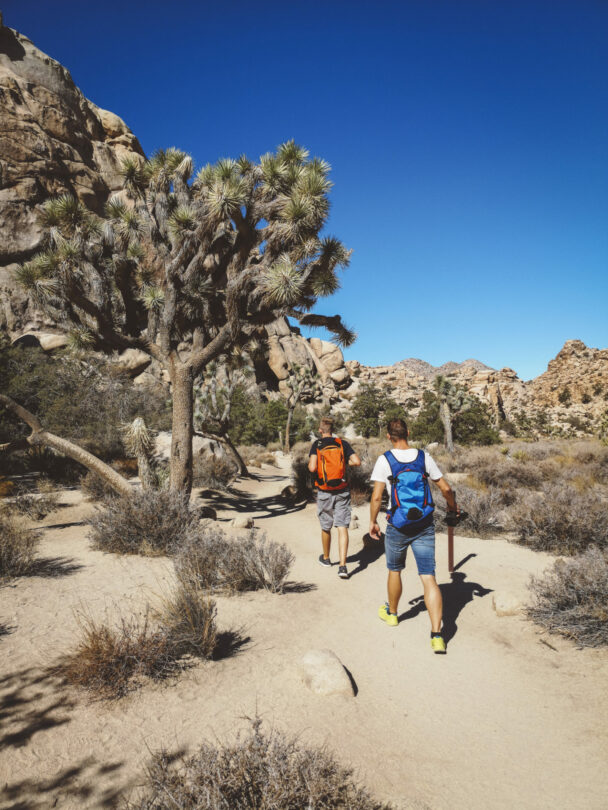 Multi-Day Hiking in Joshua Tree National Park