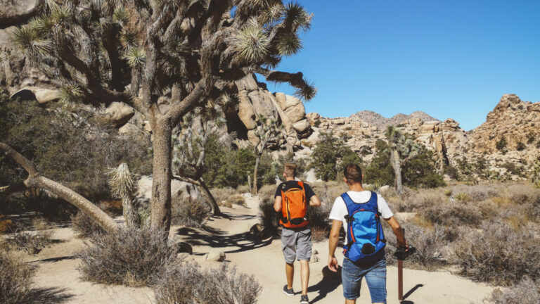 Multi-Day Hiking in Joshua Tree National Park