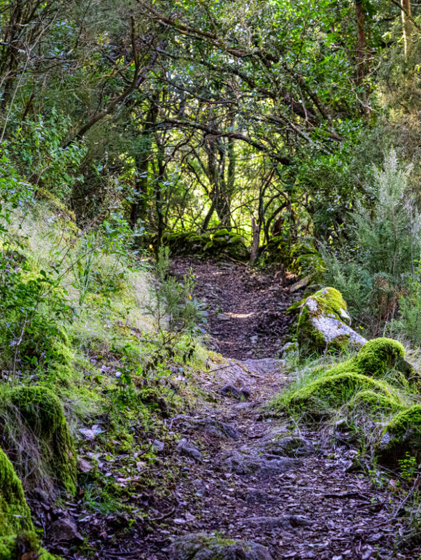 Asco river in Corsica mountain