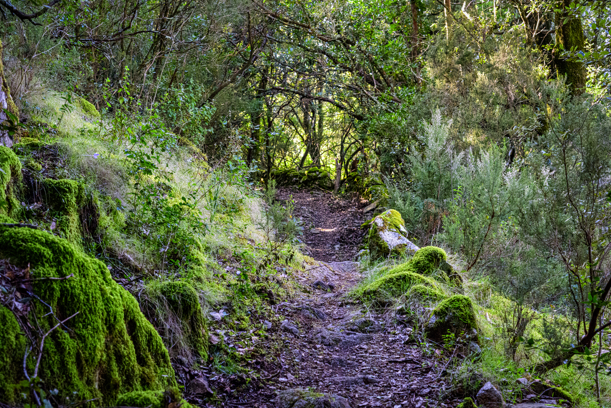 Hiking trail in Corsica