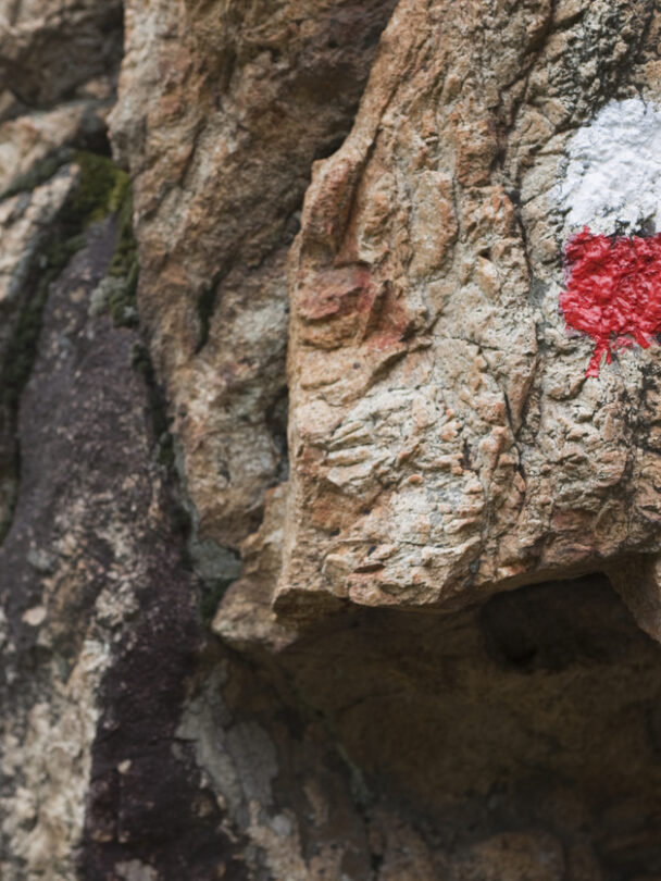 Spectacular green landscape at Lac de Nino on Corsica Island.