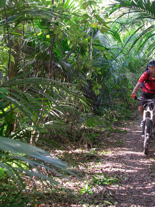 New Zealand + MTB