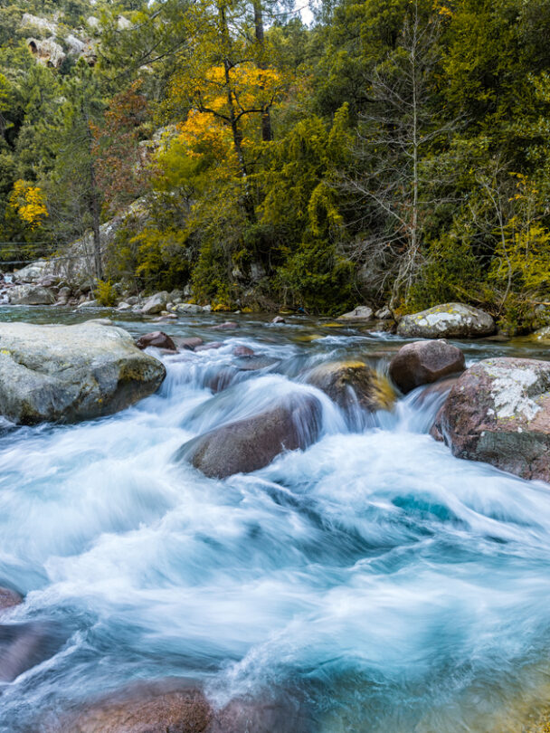 Spectacular green landscape at Lac de Nino on Corsica Island.