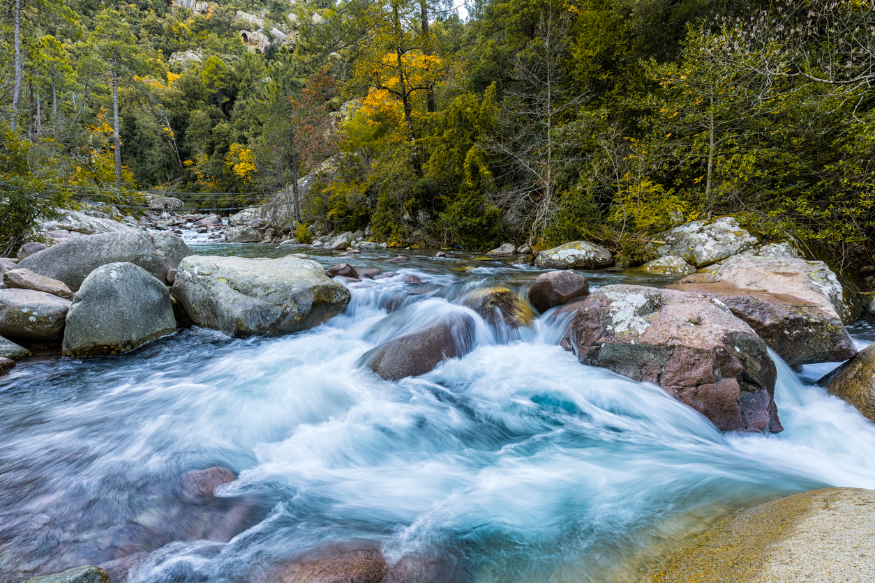 Figarella river in the Bonifatu forest near Calvi in Corsica