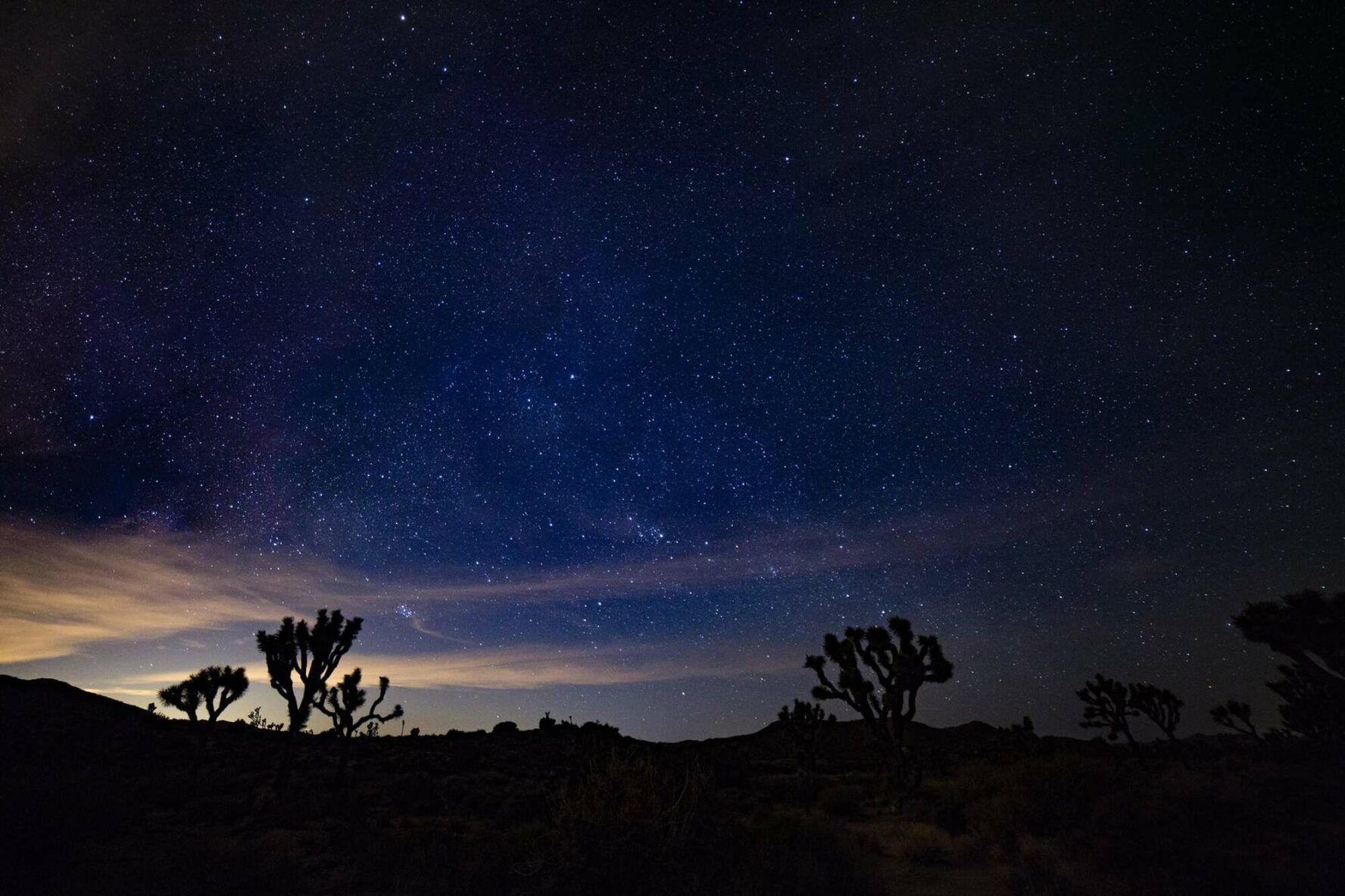 Night in Joshua Tree National Park