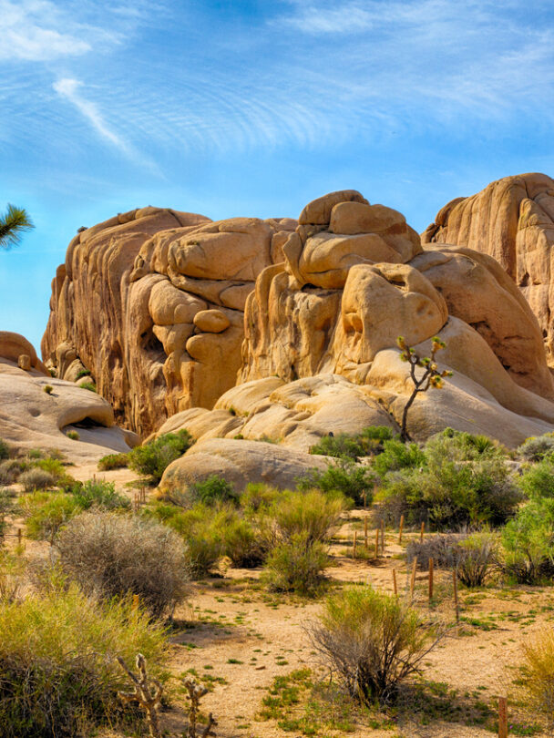 Multi-Day Hiking in Joshua Tree National Park