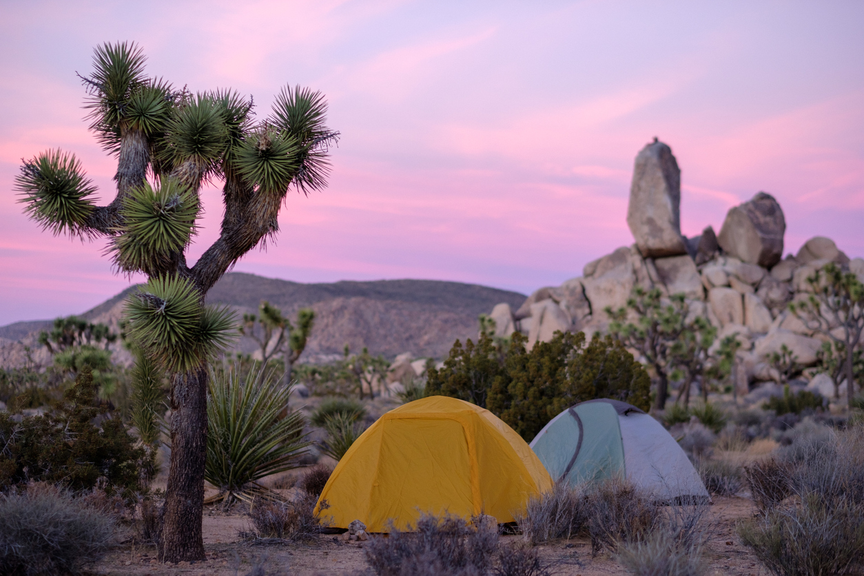 Tents and the sunset in Joshua Tree National Park