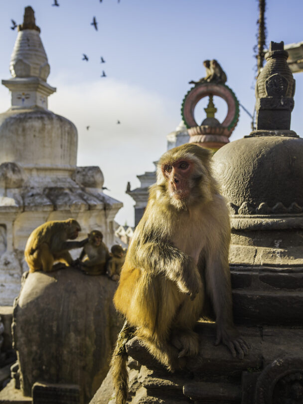 Nepal The Upper Mustang Hiking