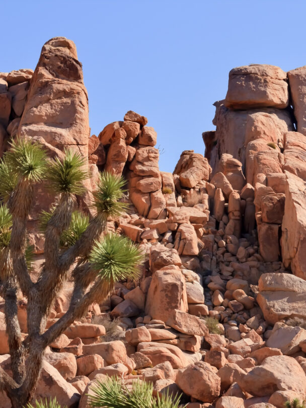 Lead Rock Climbing in Joshua Tree