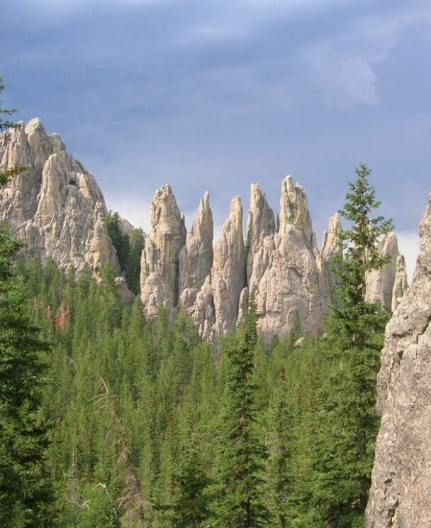 Black Hills, Custer State Park
