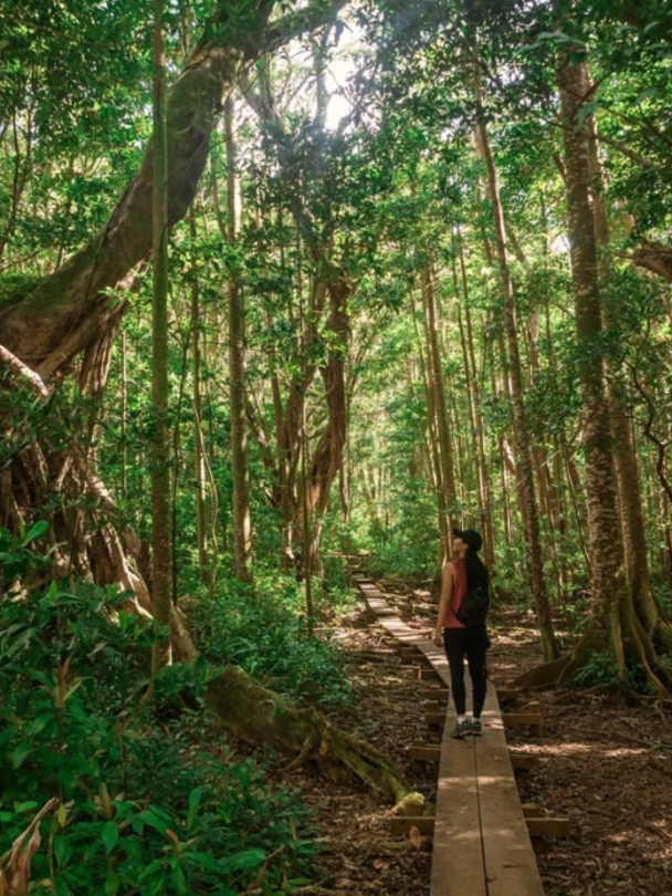 Private Hiking Tours on Oahu, Hawaii