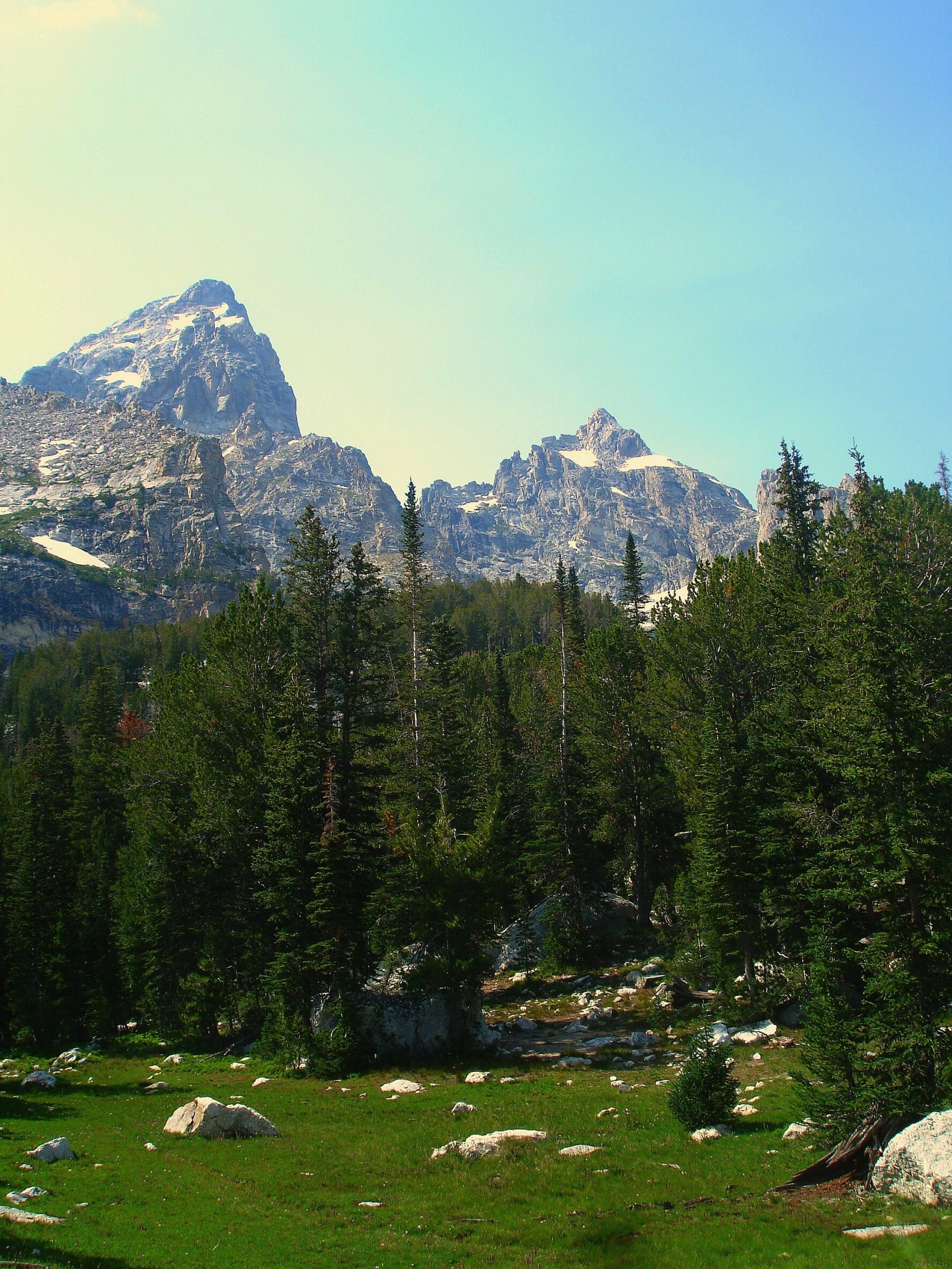 Accompanying the Amphitheater Lake Trail are the stunning peaks of the Teton Range.