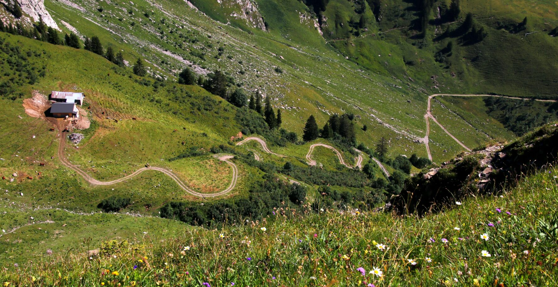 Europe MTB