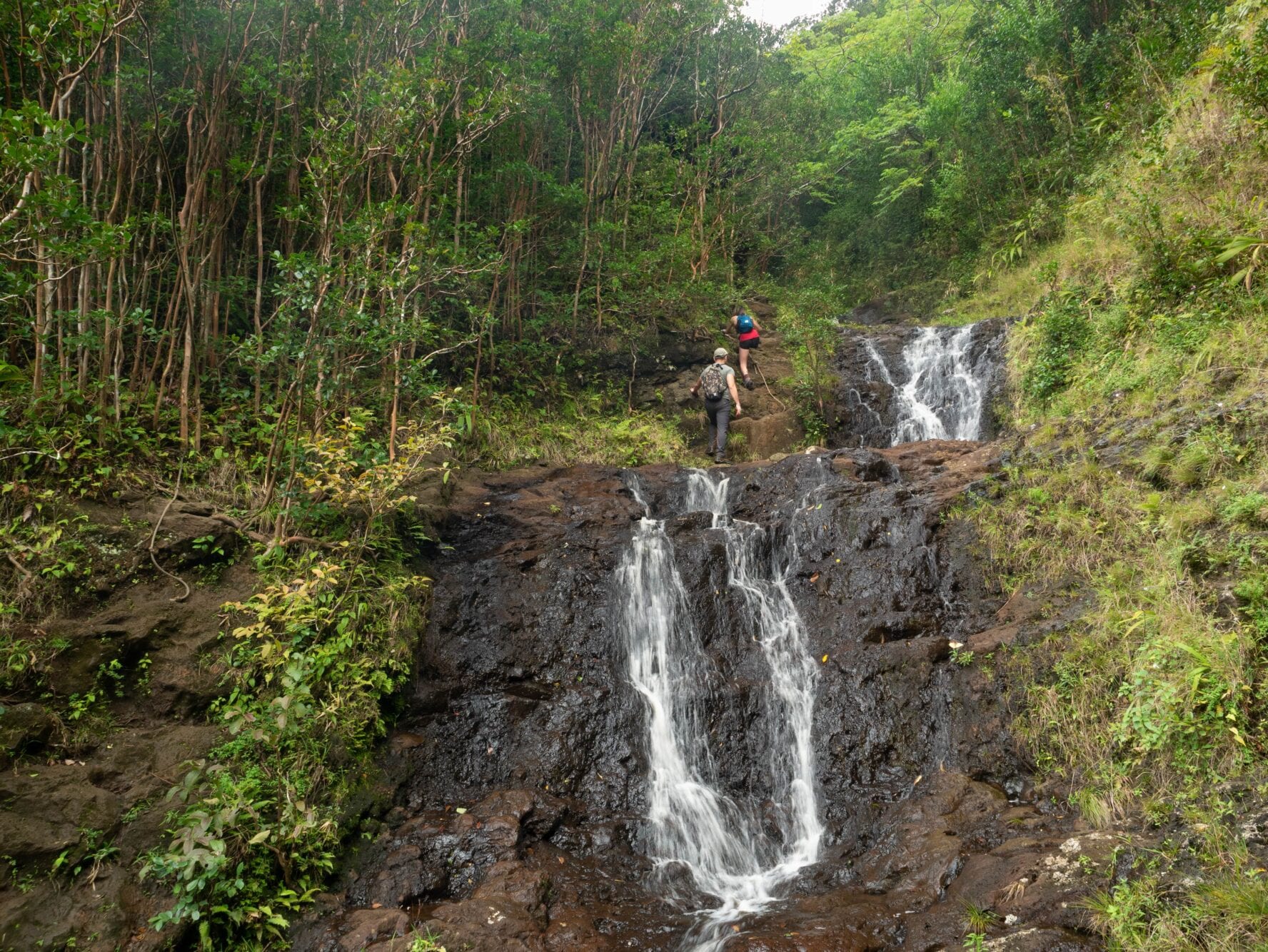 Hiking Oahu Waterfalls