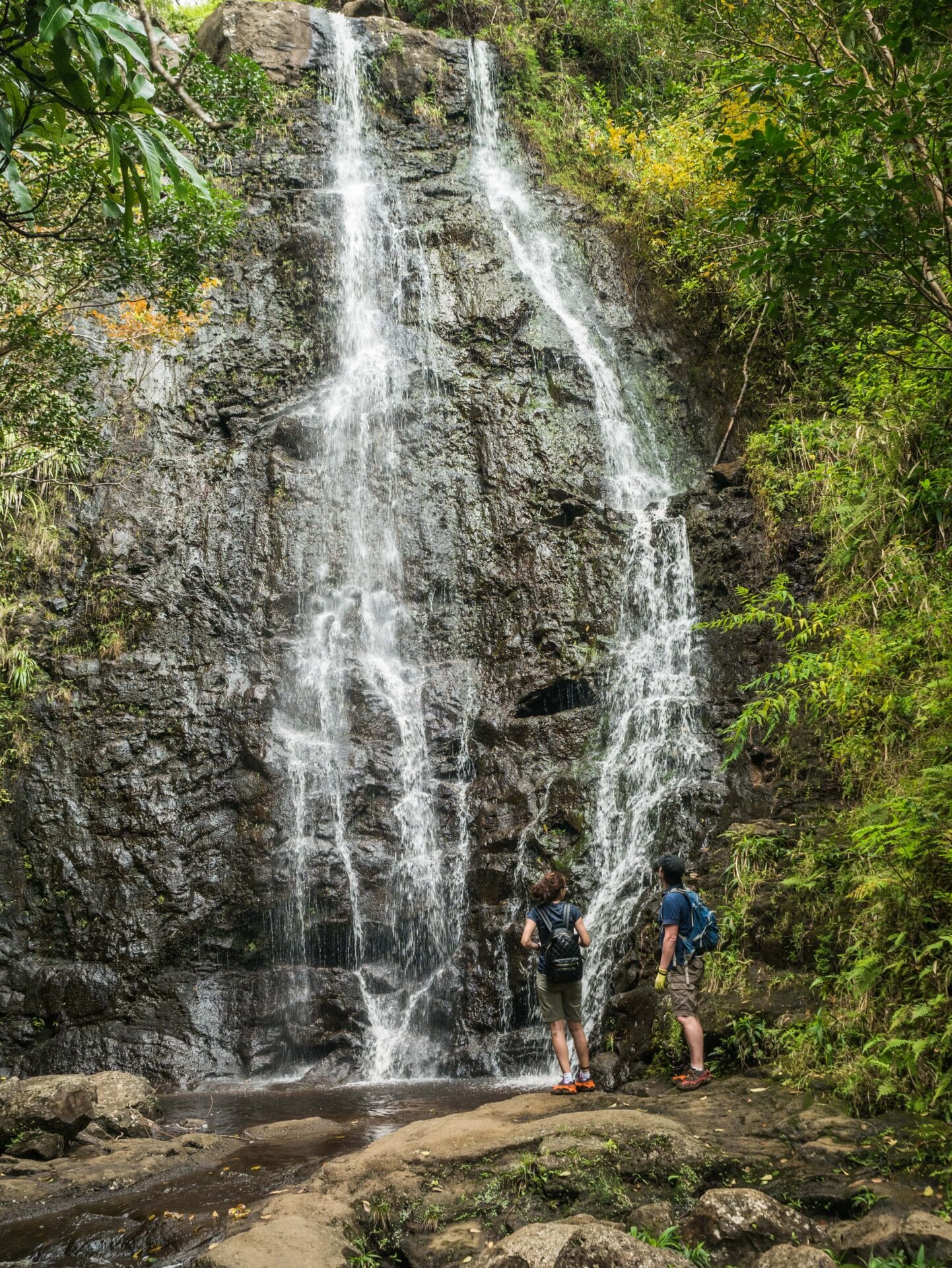 Private Hiking Tours on Oahu, Hawaii