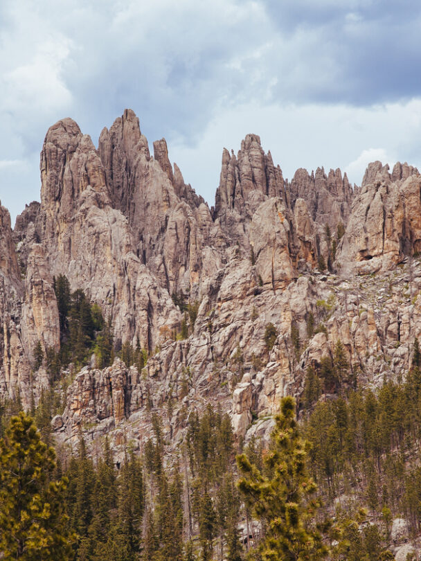 Black Hills, Custer State Park