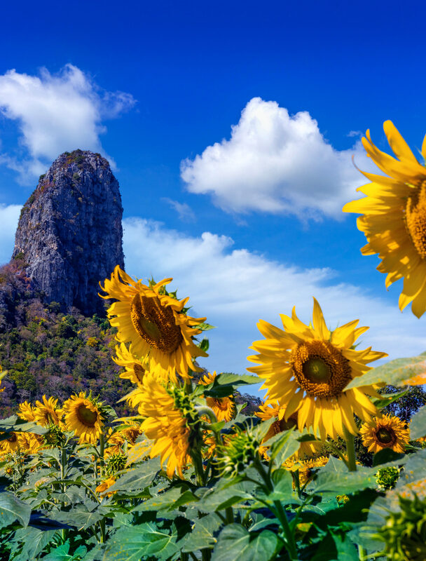 Rock Climbing the Kao Jin Lae, Lopburi, Thailand