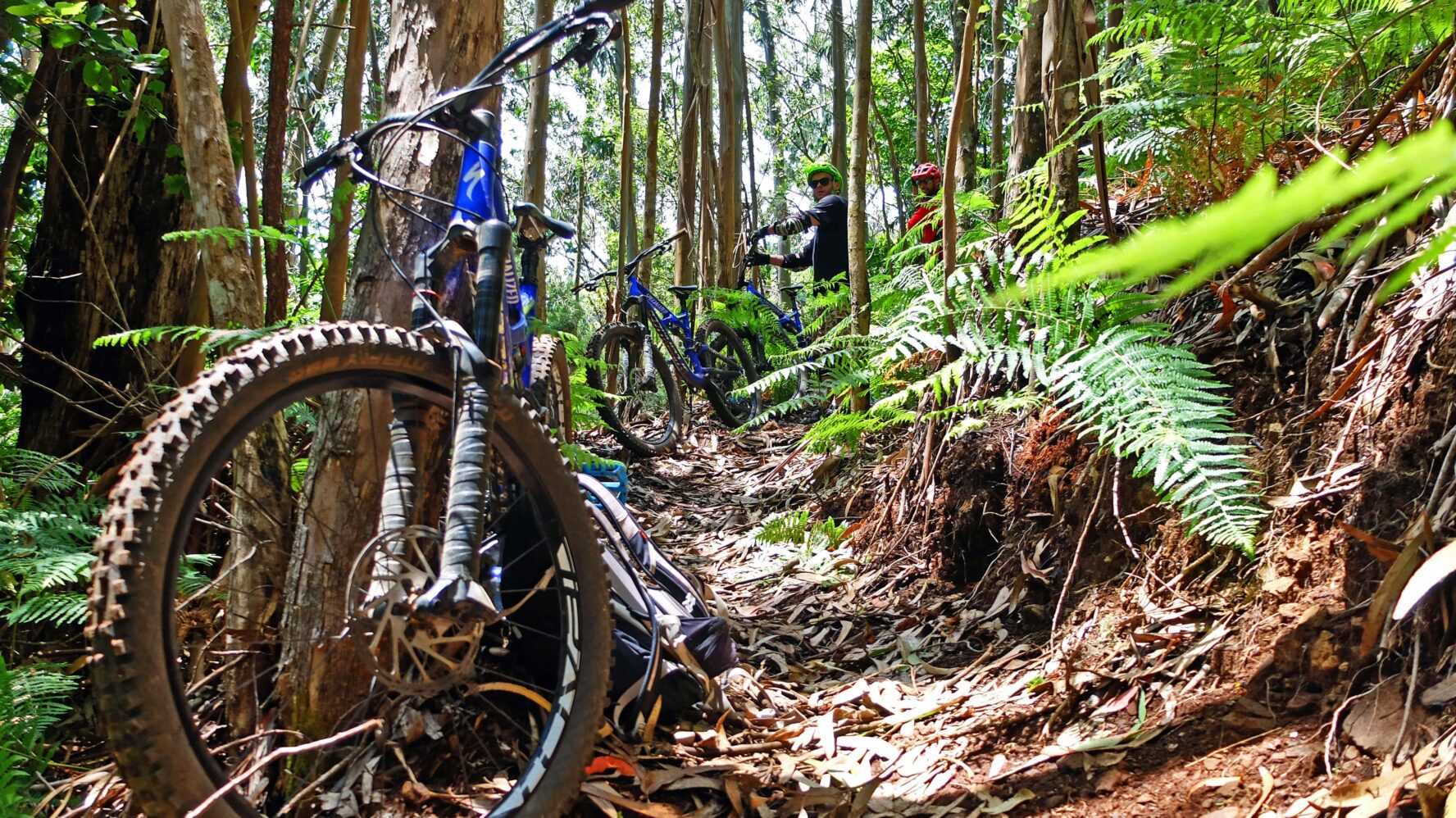 Europe MTB