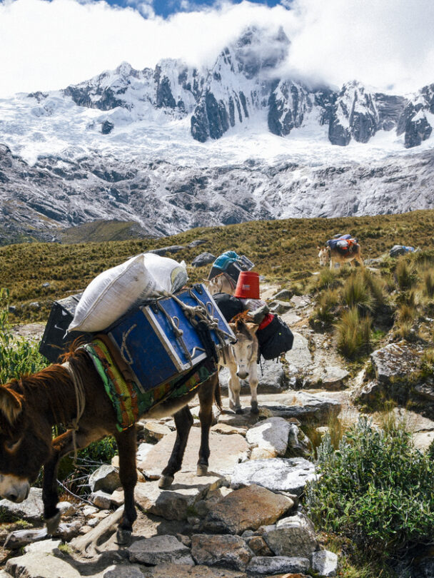 Santa Cruz Trek trekking.