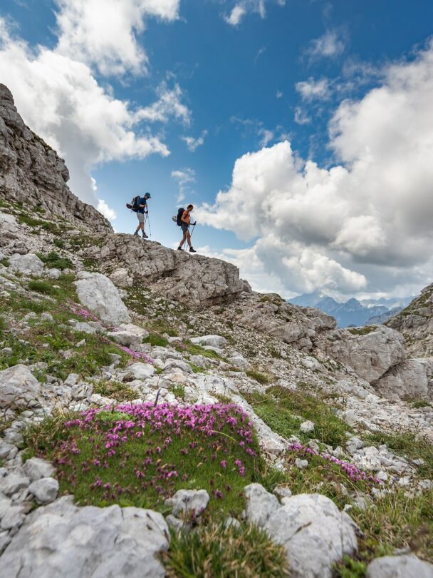 Bridge Brjeka on Soča river