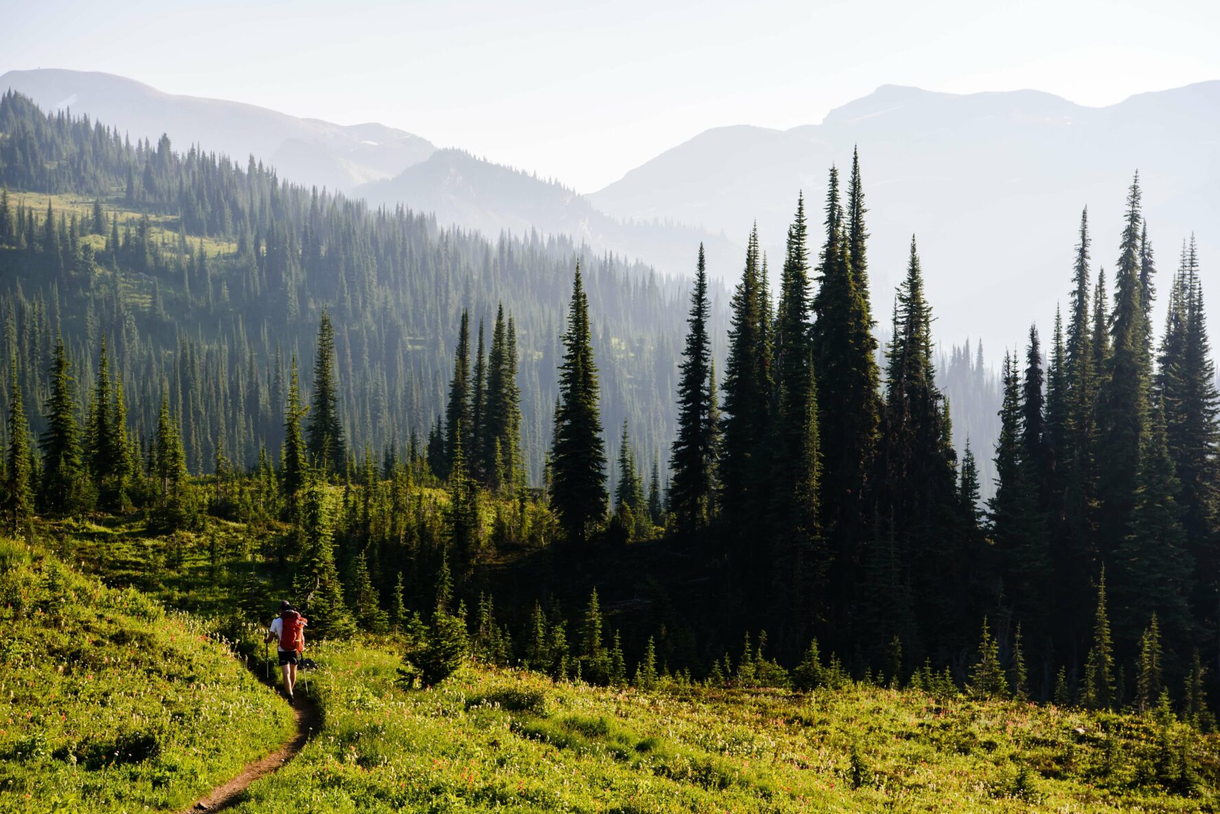 Revelstoke Hiking