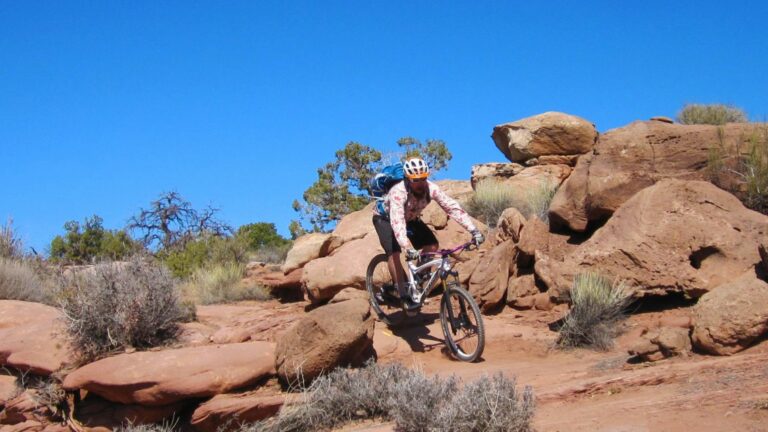 Magnificent 7 Mountain Biking Day Tour