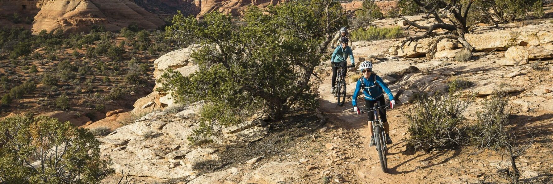 Magnificent 7 Mountain Biking Day Tour