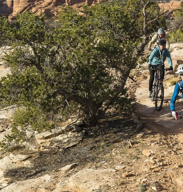 Magnificent 7 Mountain Biking Day Tour