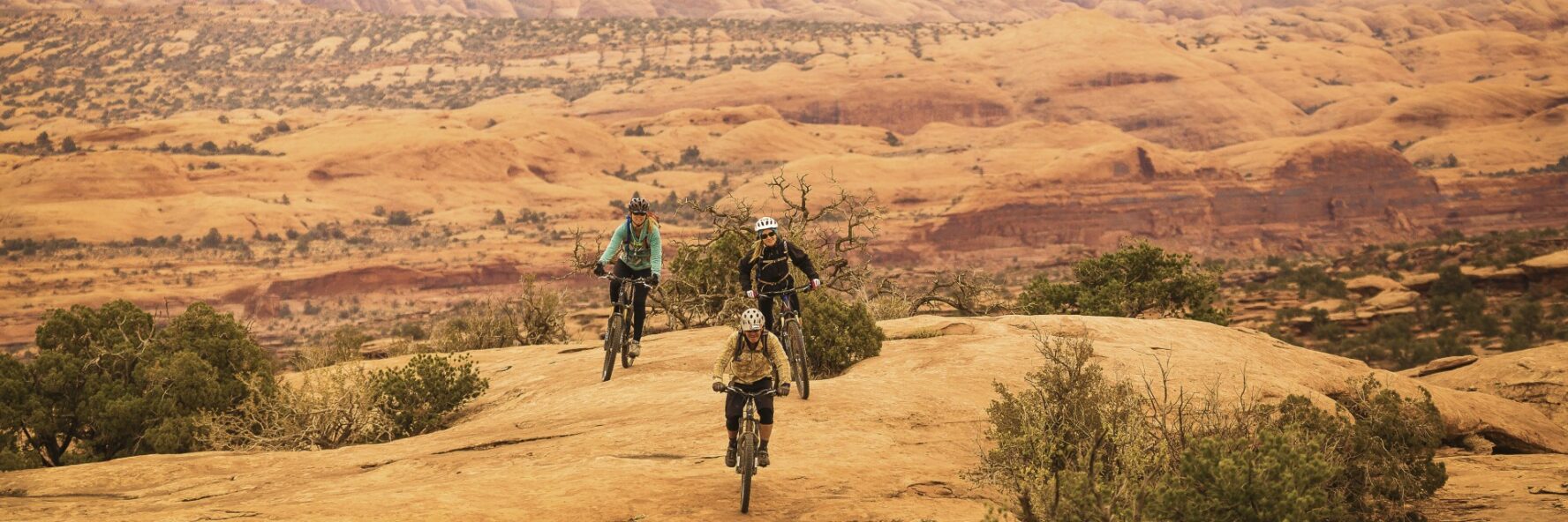 Magnificent 7 Mountain Biking Day Tour