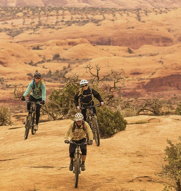 Magnificent 7 Mountain Biking Day Tour