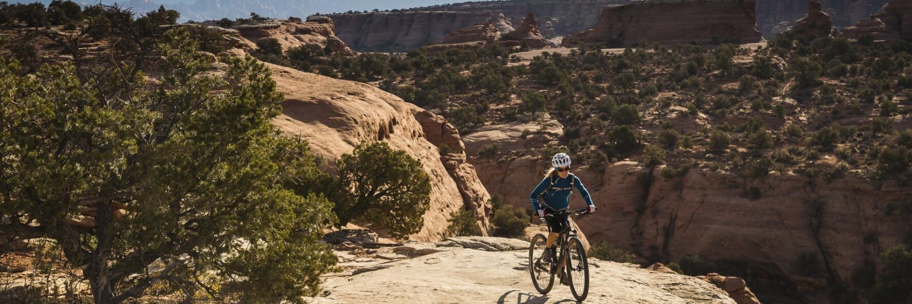 Magnificent 7 Mountain Biking Day Tour