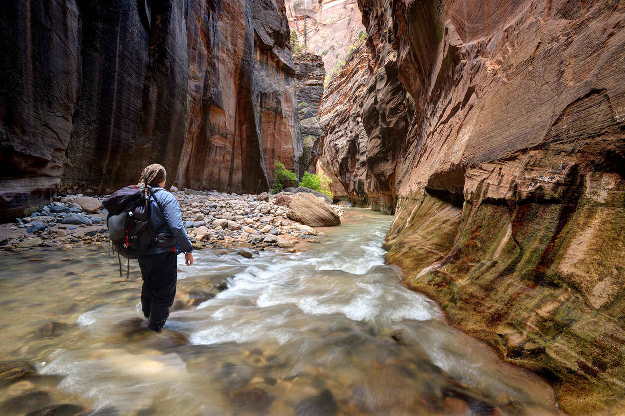 Hiking the Zion Canyon Narrows