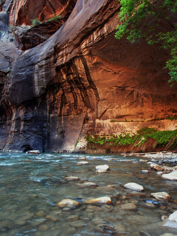 Hiking the Zion Canyon Narrows