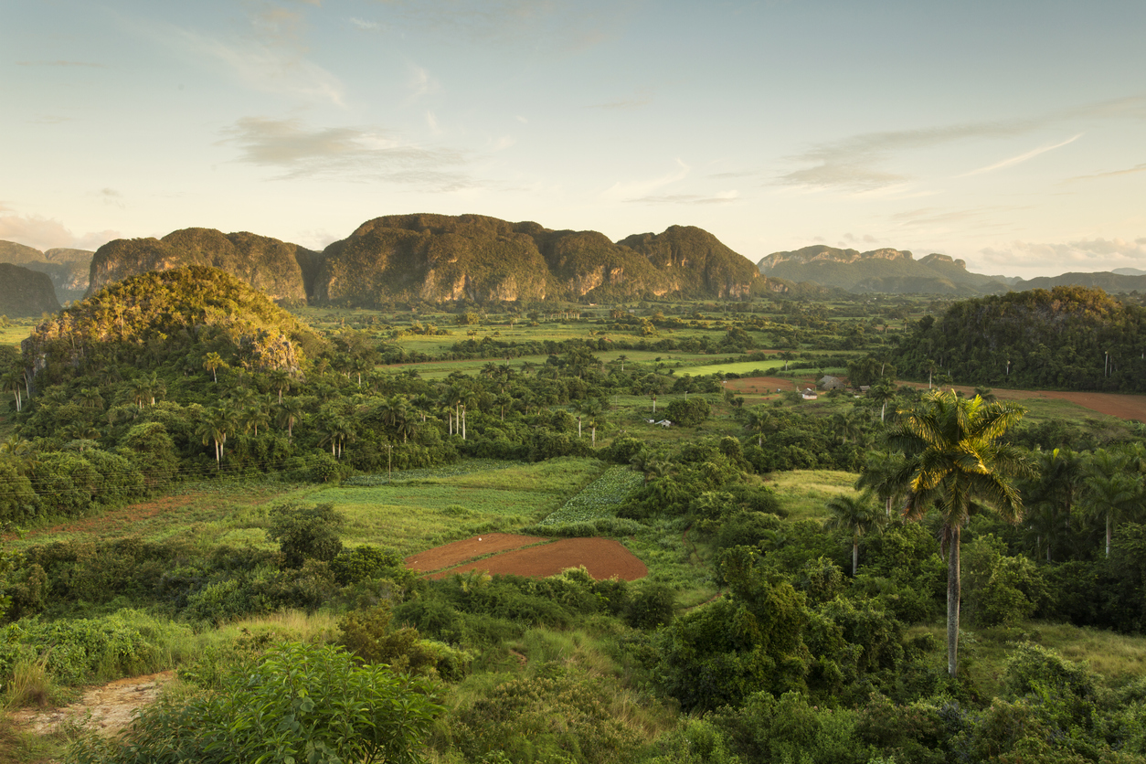 Rock Climbing in Vinales Valley ,Cuba