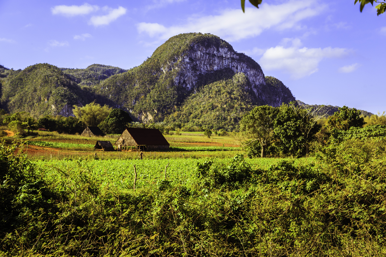 Rock Climbing in Vinales Valley ,Cuba