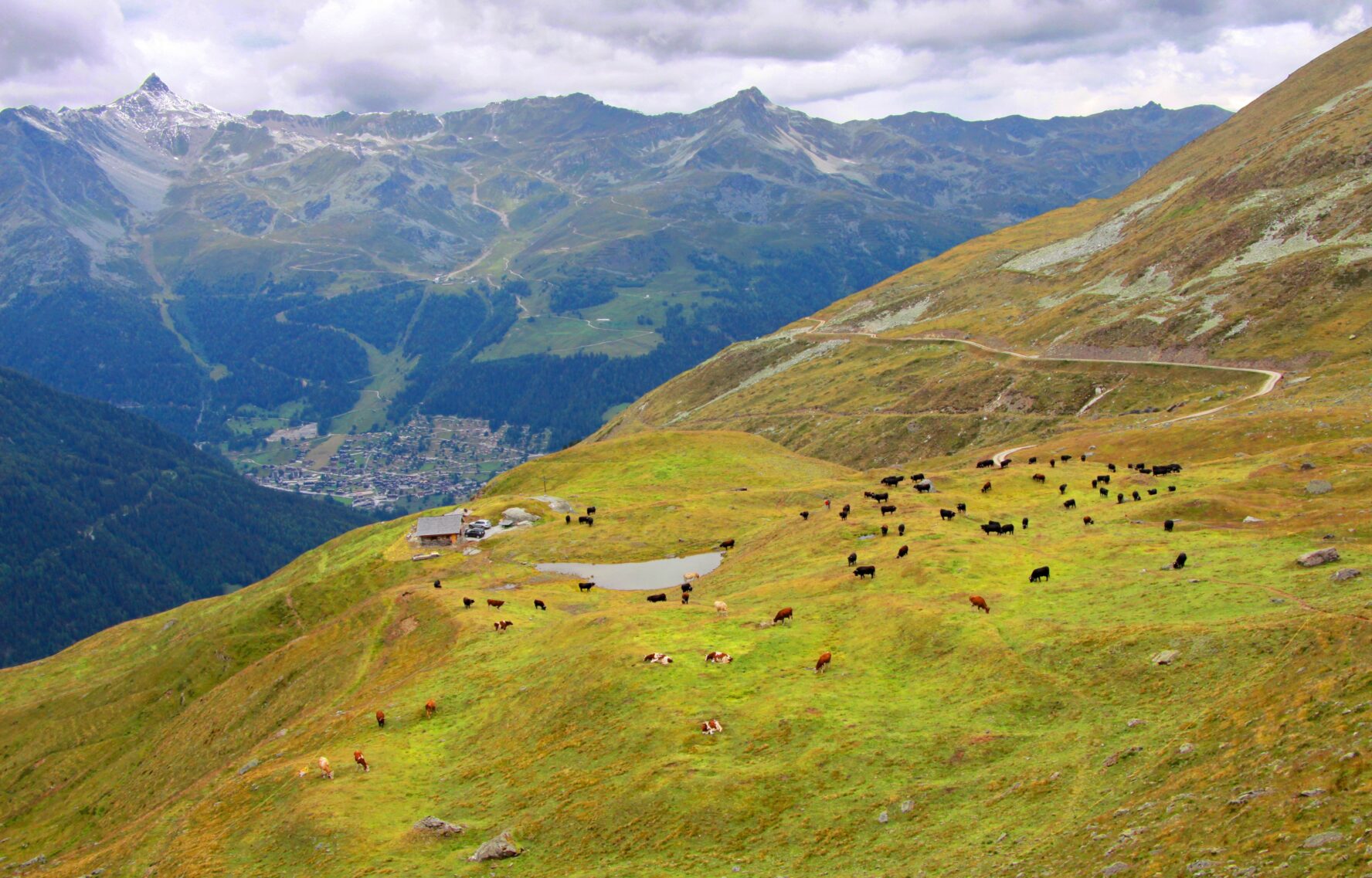 Switzerland MTB