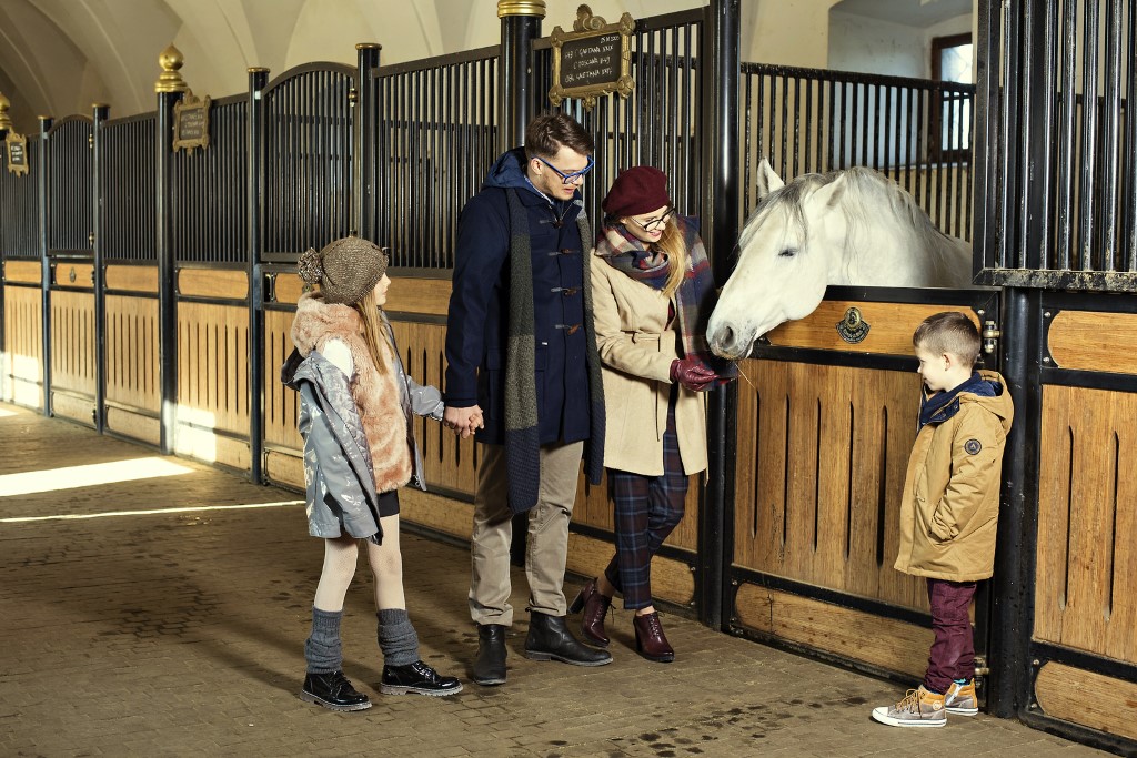 Lipizzaner horses in Lipica stud farm