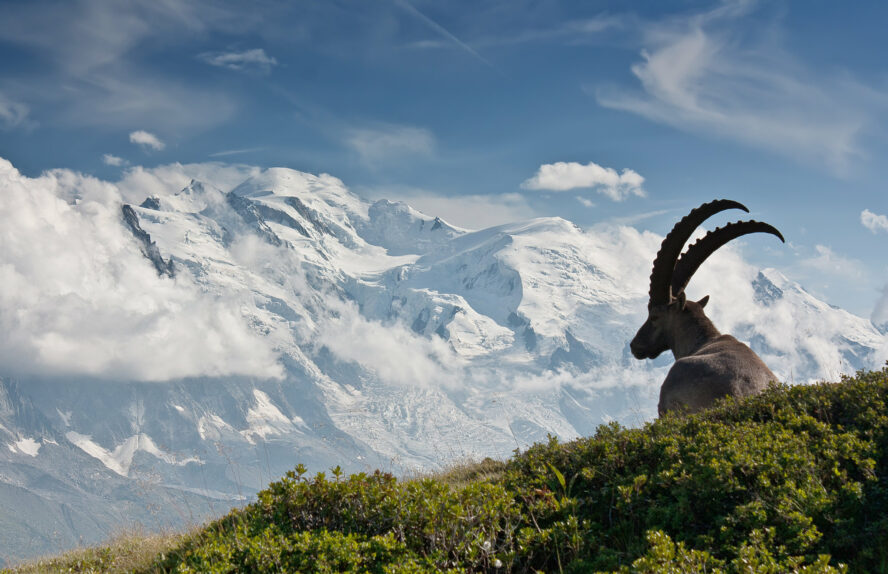 Mont Blanc Rock Climbing