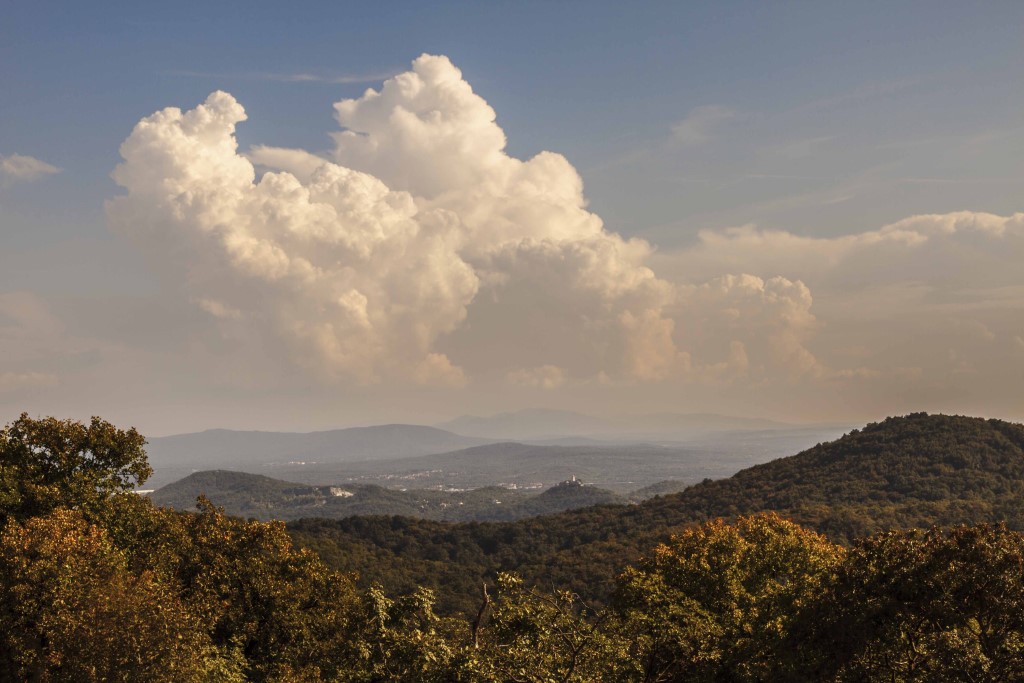 Panorama of the Karst area