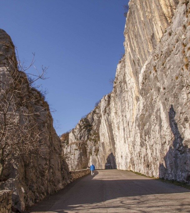 Meadows in Lipica, stud farm, in Karst region