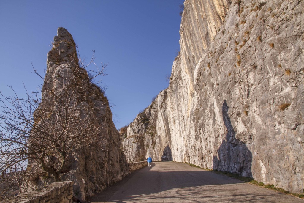 Panoramic path above Trieste