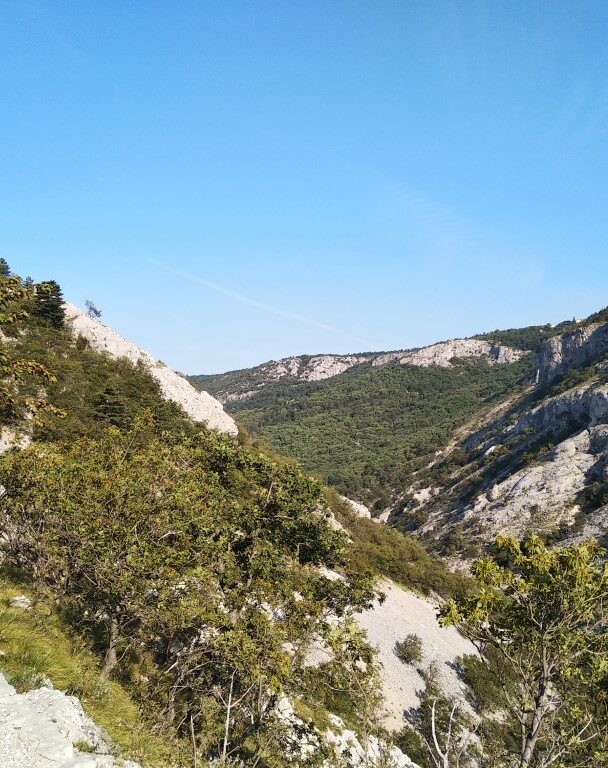 Meadows in Lipica, stud farm, in Karst region