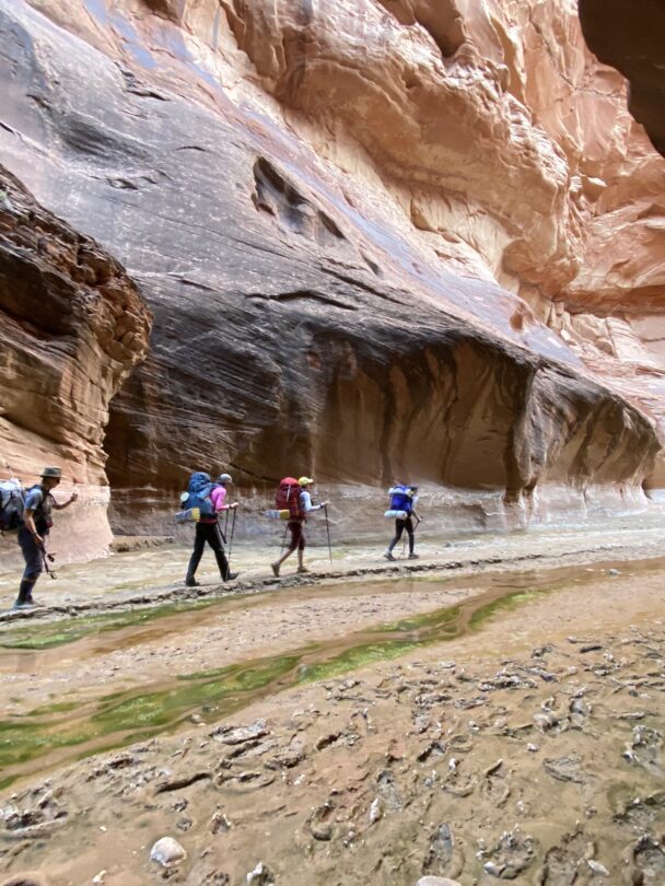 Paria Canyon
