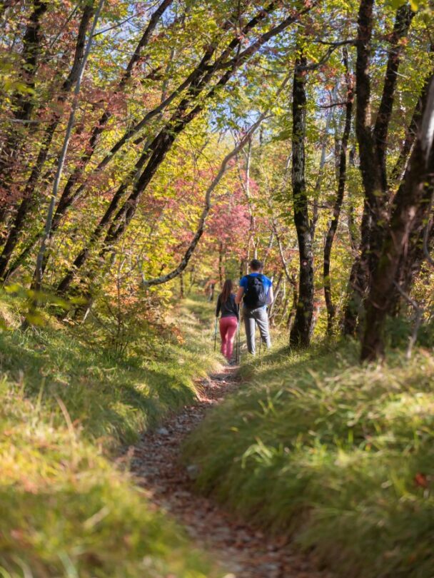 Hiking the Karst and Grotta Gigante