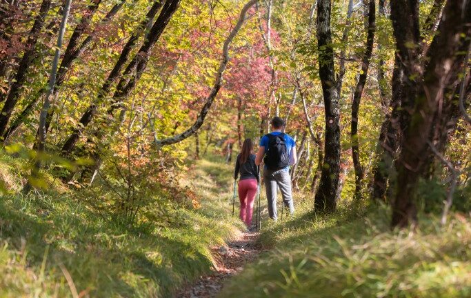 Hiking the Karst and Grotta Gigante