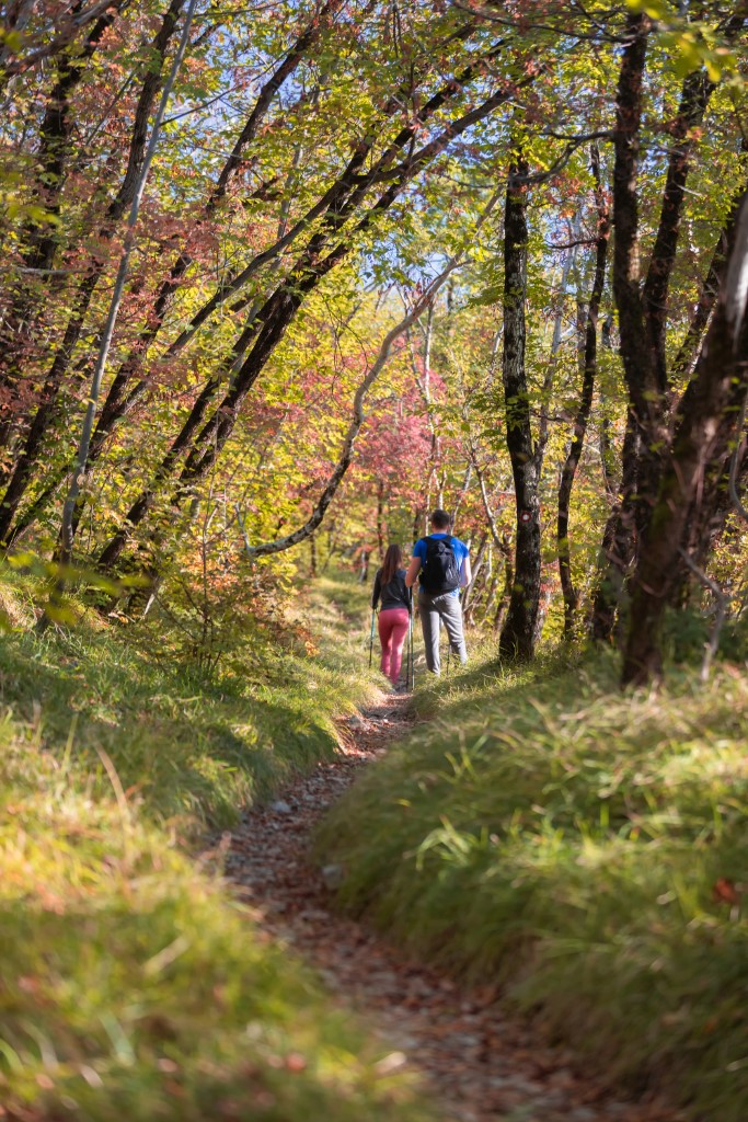 Hiking the Karst and Grotta Gigante