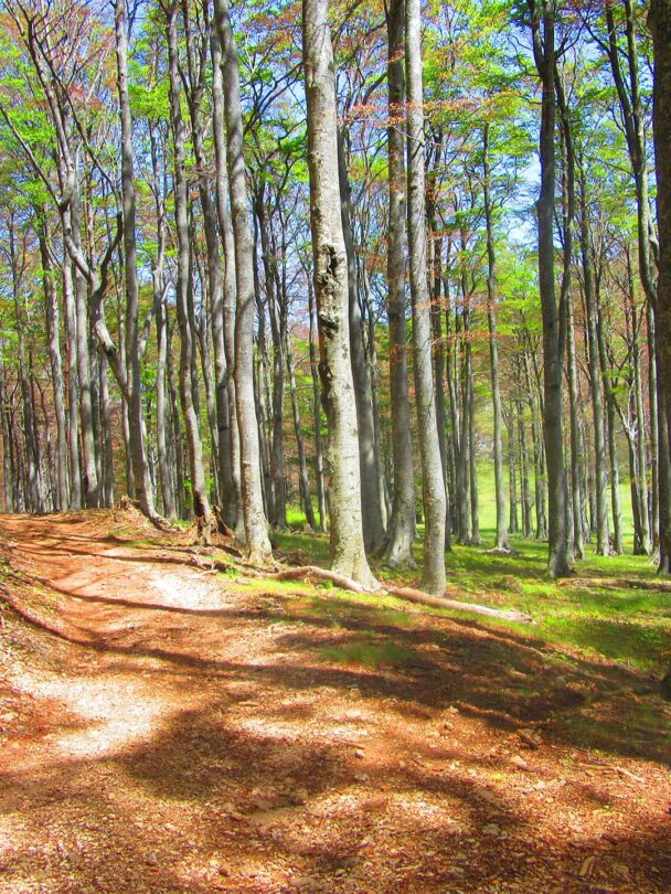 Hiking the Via Dinarica